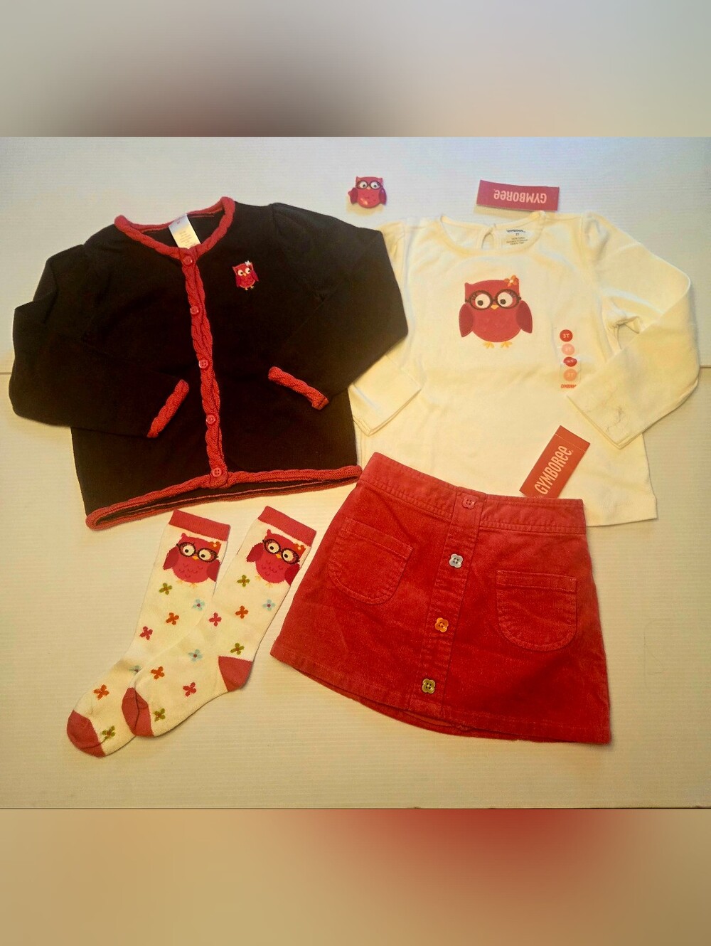Gymboree Fall Homecoming Pink Owl Set Sweater Top Skirt Knee Socks 2T 3T